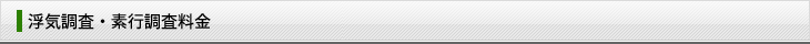 浮気調査・素行調査料金