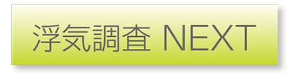 浮気調査 次へ