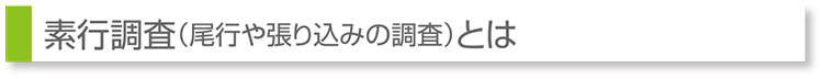 素行調査（尾行や張り込みの調査）とは