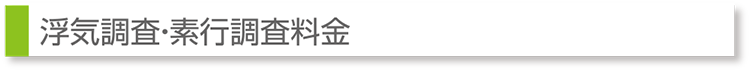 浮気調査・素行調査料金