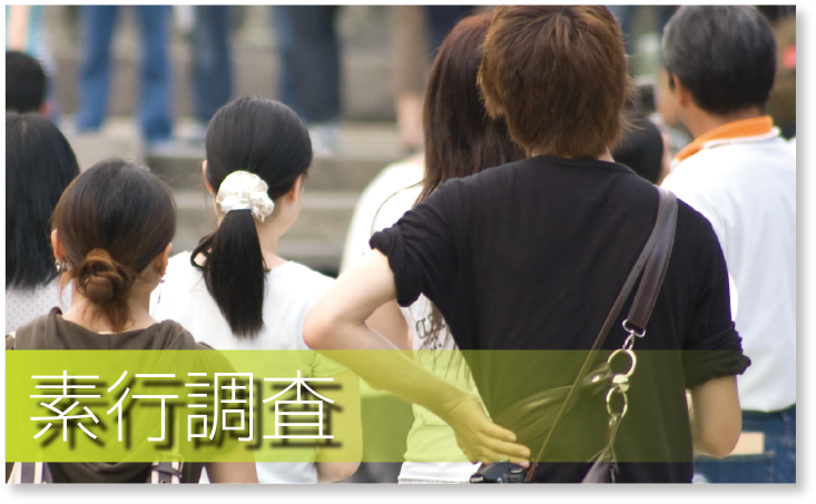 素行調査