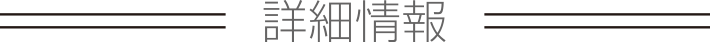 詳細情報
